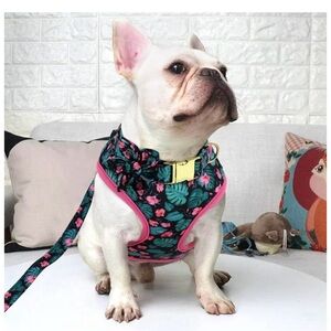 Pink and Green French Bulldog Clothing